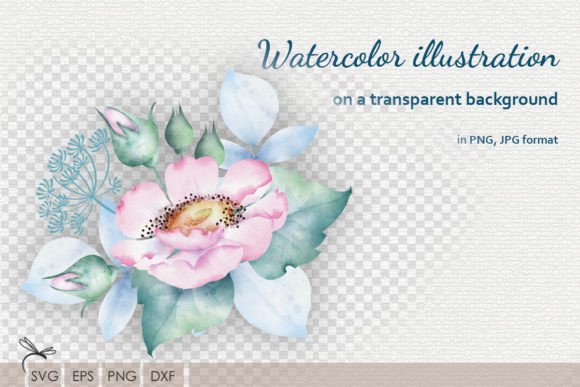 Download Watercolor Floral Illustrations Rosehip - Illustration Collection